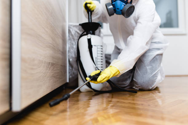  St Augustine Shores, FL Pest Control Pros